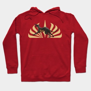 Ember: Hero of the High Republic Hoodie